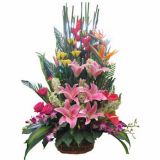 ڽʻٵ