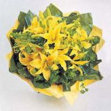ڽʻٵ