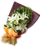 ڽʻٵ